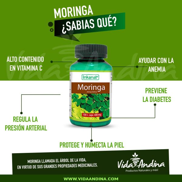 beneficios de la moringa en capsulas inkanat