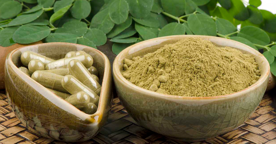 moringa